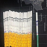 2月27日末次月经，排卵试纸一直强阳，Zzy白板，月经没来，有希望吗？