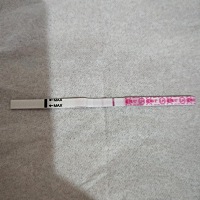 前几天听到朋友给我报喜。我竟然抱着她哭了，我是看着她备孕的，可是我金秀儿还是白板！一样的颜色！哎