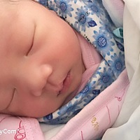 26号喜得小金猪，8斤2两的小伙子。未来和你一起学习一起成长，加油吧。