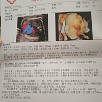 我爱宝，期待你的出来