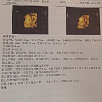 越到后面越好奇是佩奇还是乔治