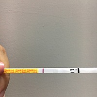姨妈推迟第16天，早早孕白板 排卵纸一直弱阳，帮忙看看我还有机会怀孕吗？ 姨妈感一丁点都没有了�...
