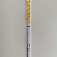 排卵过后第五天，金秀儿的早早孕白板，没什么症状，就是腰酸，有大姨妈感，姐妹们，这会是乌龙吗，好想...