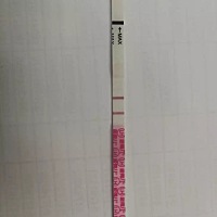 早上10点白带拉丝明显 昨晚晚上下班用试纸测金秀儿的排卵试纸已经是强阳了，这是已经排卵了么？今天测试...