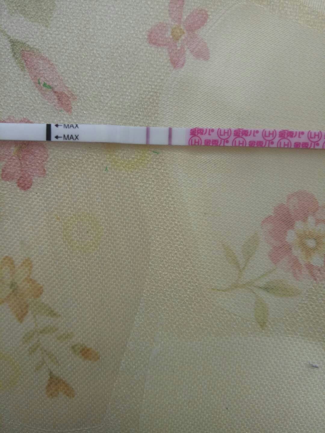 排卵试纸