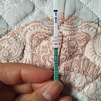 我3/18号因为俩月没来月经去检查，医生就告诉我，我有多囊卵巢，给我开了孕酮和二甲双胍吃了十天了到现...