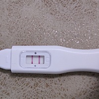 90后小护士一枚，末次月经2月24，3月初，老公突然想要个猪宝宝，而我并没有很想要，但是为了配合他，去...