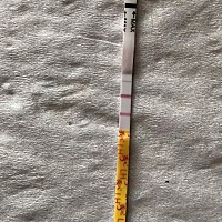 这算强阳吗？请帮忙看一下？今天测的金秀儿排卵试纸
