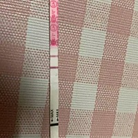 我的强阳错过了，金秀儿的试纸变淡了，呜呜呜~~~~(>_<)~~~~咋办咋办，安排来得及吗