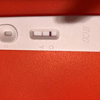 月经推迟了3天，就总是有点预感，早上忍不住就测试了下，没想到给我这么大个惊喜，看到的一瞬间是开心的...