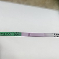 这个大家看看有没有呢