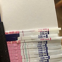 13号来的月经，19号干净了～ 排卵后今天测白板，怕是猪宝宝要泡汤的节奏啊～没有戏啦～