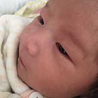 二宝今天15天了，怀孕的时候看见的都说是男孩，只有生下来才知道是男是女，这辈子有两件小棉袄感觉也很...