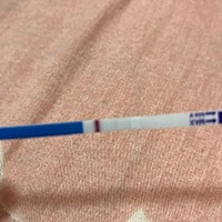 朋友们帮我看一下，有条浅浅的 我不懂，请及时回复我一下，谢谢