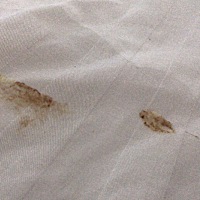 新手妈妈，请教一下你们宝宝吐东西有没有这种情况？？？？？？？目前宝宝转儿科去了。着急