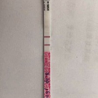 金秀儿这样是要排卵了吗？好想，好想要男宝，什么时候同房合适？