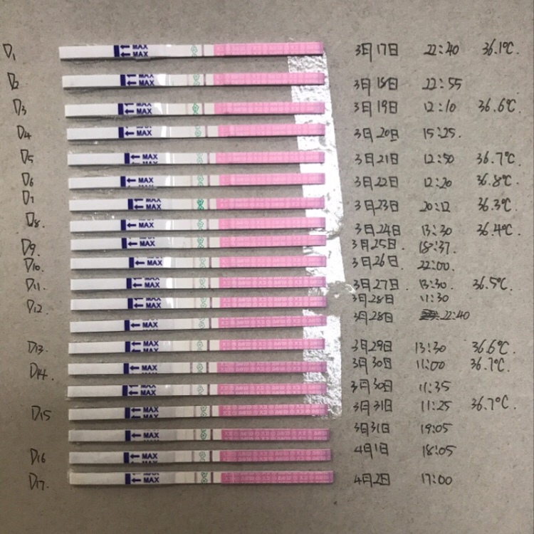 月经周期33天，16号月经完事，请大家帮忙看一下，哪天是排卵期，还是排卵期没到呢