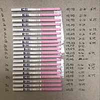 排卵试纸 ，排卵日 月经周期33天，16号月经完事，请大家帮忙看一下，哪天是排卵期，还是排卵期没到呢