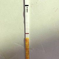 排卵第12天金秀儿测出灰印。根据我自己的经验这个第几天测出跟月经周期也是有关系的。祝大家都宫内好孕！