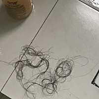 产后脱发开始了……呜呜呜呜，啥时候才能好呀