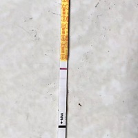 25号排卵 今天早上手欠就想测测，老公还不让测，我想试试，秀儿一测竟然有印，赶紧让老公拿金秀儿的再试...