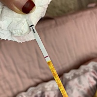 请问这是中了吗？3月4号的末次月经