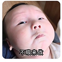 一天n个表情，斗智斗勇～