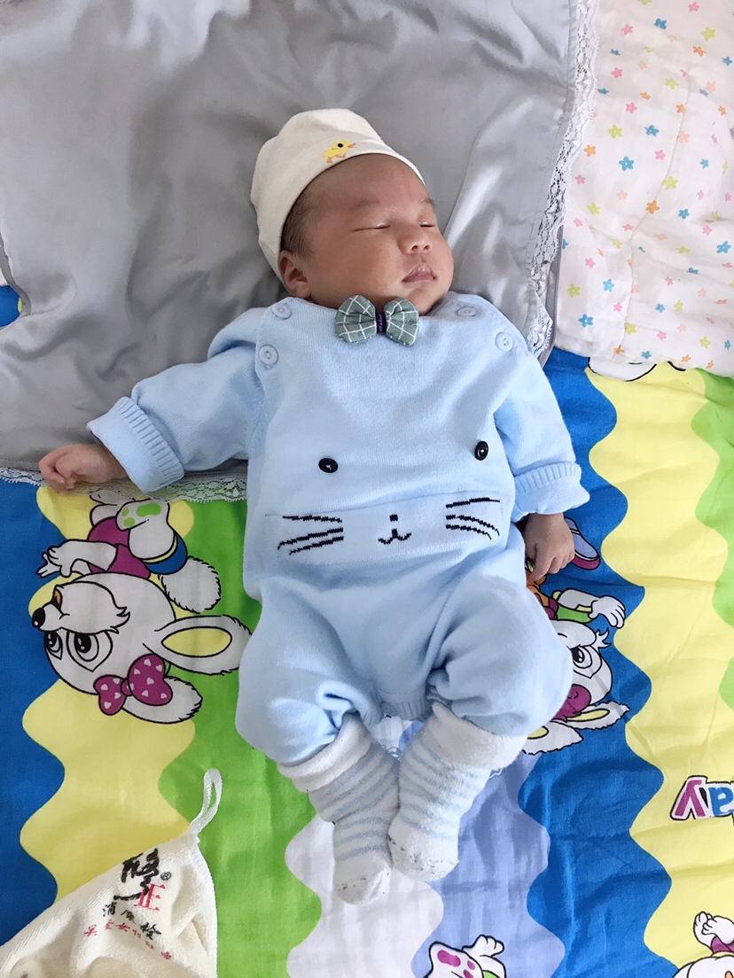 算了我还是睡觉吧