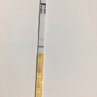 你们都是什么时候跟家里说怀孕的，第一个告诉谁？ 今天测还是很淡