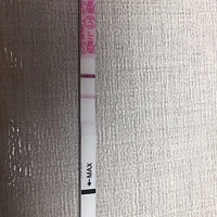 我每个月都是25号那天来月经怎么算排卵期呀！我也不会算排卵期希望有热心朋友教教我！每天测试纸的话，...