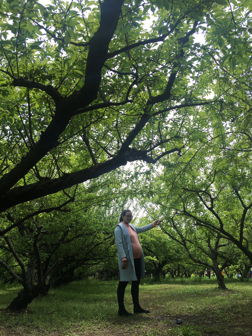 2019.3.31踏青
实践证明多走动可以促进生产