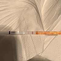 来吧 接好孕吧姐妹们 我刚刚吃完饭回来又测了 不要怪我测得勤 我真的怕炸胡 现在已经明显看到了 这回没...