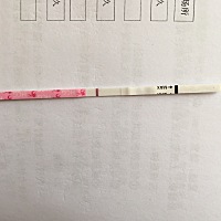 12号末次月经，17号完，今天测出大白板，😔😔