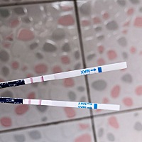 3月3号末次月经，今天4月6号没等到月经，等到了你，有点儿不敢相信，连续测了两次，结果一样……