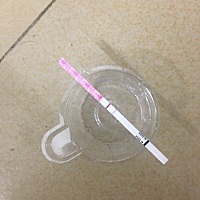 上月去医院B超，子宫内膜8mm，但是卵泡12 ，意思是多囊了，医生建议我要小孩搭配排卵试纸来，强阳的是就...