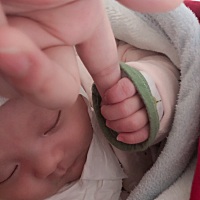 最美人间四月天  月子里错过了最美的春天    站在窗台晒晒太阳也不错