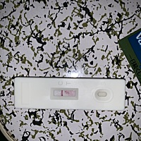 这是什么意思？有了还是没有？