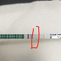 有没有看到呢