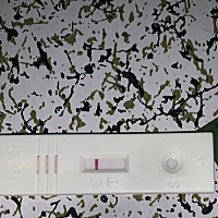 是不是怀孕了？好像有印，好开心好激动