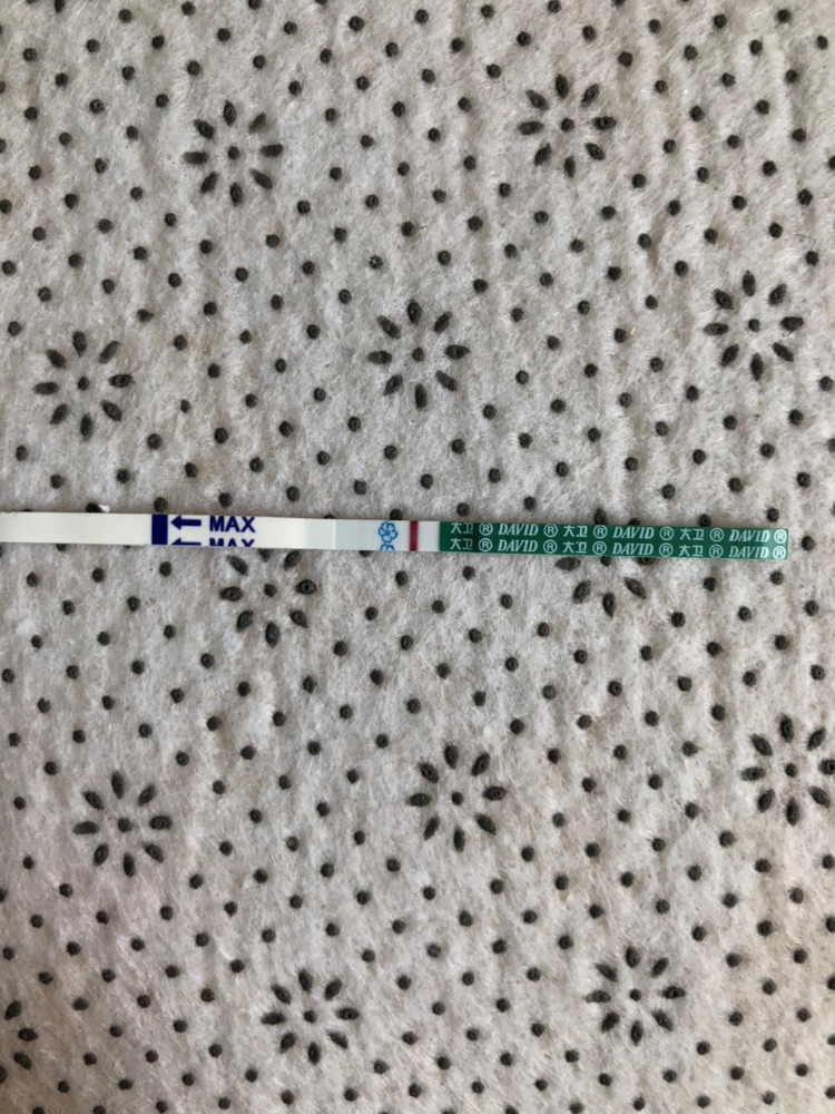 帮忙看下有没有