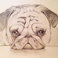 有没有人小孩太多不需要的呀？