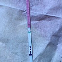 姐妹们有没有3月14号来姨妈的，我是3月26同房，27号出现白带。29号补一次，今天第十一天了验孕棒一条杠...