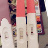 终于等到你！等官方