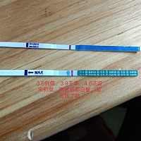 好烦啊，3.5例假来了到4.8还没来，测试纸都白板一条，是没戏了吗
