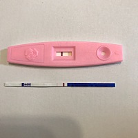 末次3月12号，27号排卵，这算是有了吗？