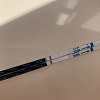 大家帮看一下是不是怀孕了