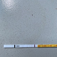 用的秀儿测试纸，帮忙看看是不是炸胡？