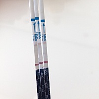 大家帮我看看是不是怀孕了