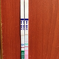 第一次测排卵，刚刚测了妥妥的大白板，姨妈还有三四天，感觉猪宝宝希望不大了