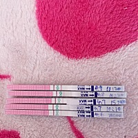 排卵试纸几天的测试，上面的是早上测试的。什么时候安排呢？